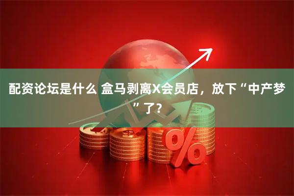 配资论坛是什么 盒马剥离X会员店，放下“中产梦”了？