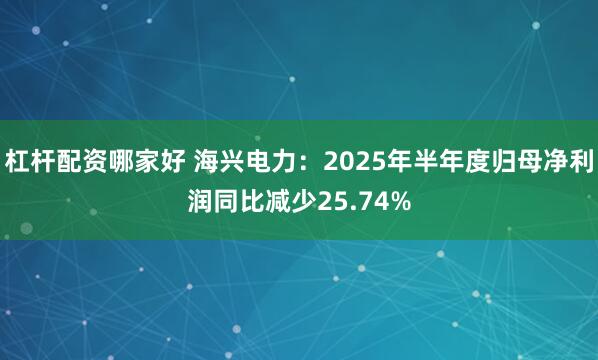 杠杆配资哪家好 海兴电力：2025年半年度归母净利润同比减少25.74%