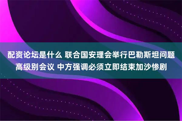 配资论坛是什么 联合国安理会举行巴勒斯坦问题高级别会议 中方强调必须立即结束加沙惨剧